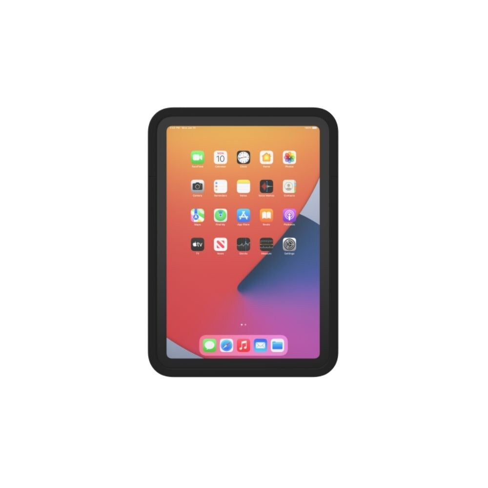 iPort Connect Case For iPad, Black Case Iport