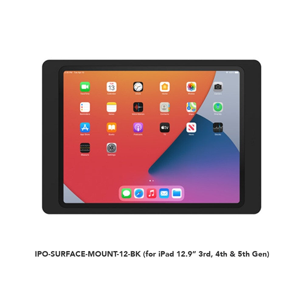 iPort Surface Mount Case 10