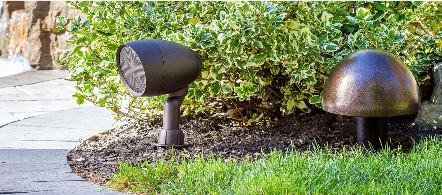 Paradigm Garden Oasis Stake